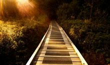 鼓励人要开心的英文句子 开心的英语说说简短