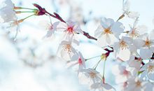 微信说说亲情的句子大全