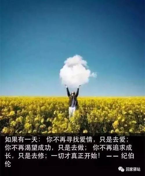 难忘的句子