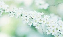 显示亲情浓厚的句子