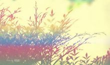 关于亲情的霸气句子说说心情