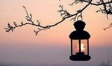 伤感凄凉爱情语录