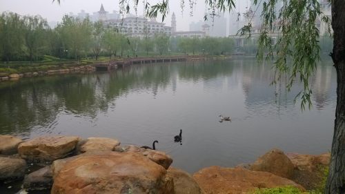 湖还活着，海浪随风而升