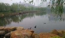 湖是活的，层层鳞浪随风而起