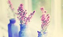 赞美兄弟姐妹亲情句子