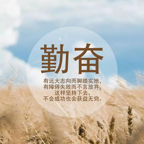 微信正能量行情