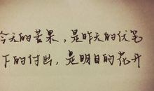 描写年轻的句子