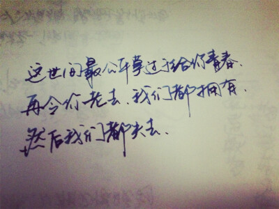 九晚茴香行情