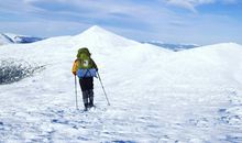 努力语录正能量句子