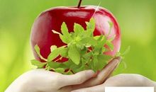 语言最优美的祝福短信