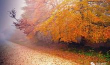 形容秋天的比喻句