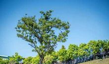 生日收到前男友问候短信