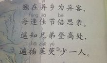 王维描写景物的诗句