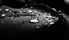 令人心痛到心碎的句子亲情