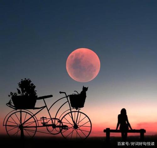 10.不愿接受新事物，也不能忘记过去。我是一个人，有一天我必须死在我手中。