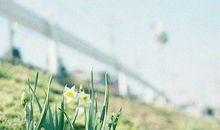 女生简短的座右铭