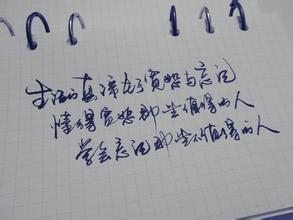 反映社会现实的句子