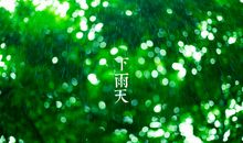 雨天心情语录