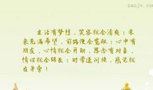 有关理想的句子