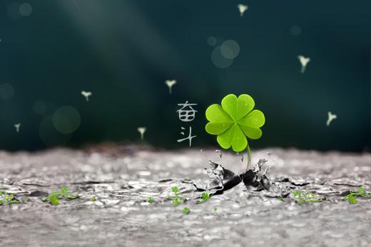 8.应该尝试任何事情，因为您不知道哪种事情或什么样的人会改变您的生活。