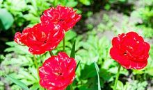 认真品读下面两个句子