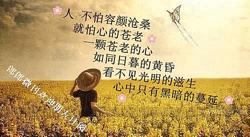 Life Insights经典行情2015
