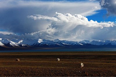 10.在大雨中，我知道您的所有担心。实际上，为什么要去放松。在暴雨中，我知道您的所有不适，但不在乎，只是让您的笑容变得清晰。在大雨和大雨的日子里，请释放你的幸福，每一天都是太阳的天空。