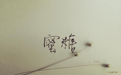 深情句子