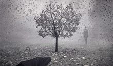 关于沉默的座右铭