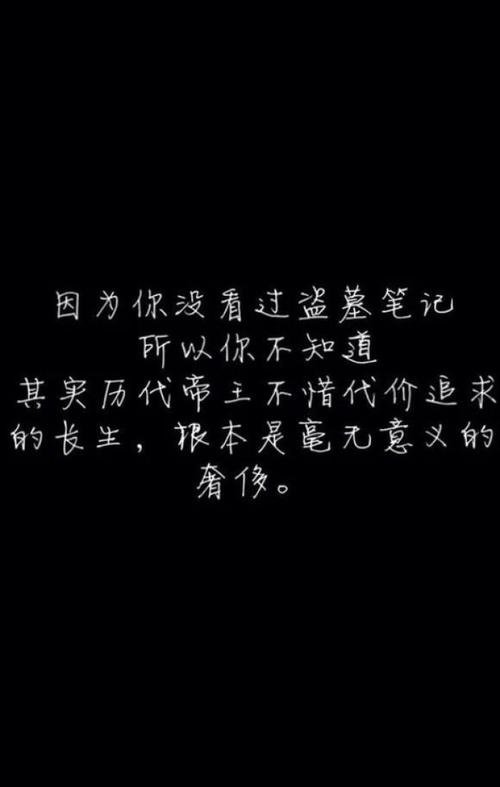 古墓丽影笔记感人的句子