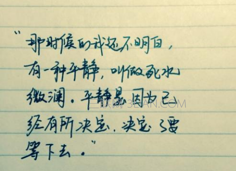 精彩句子摘录
