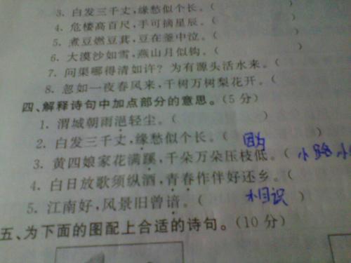 关于爱情的外国经文