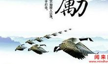 恨一个人的心情语录