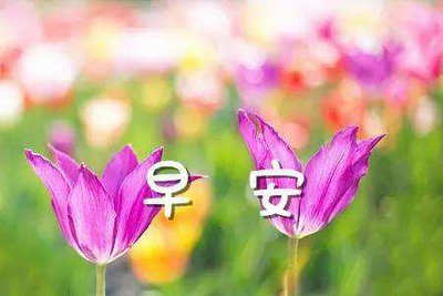 11.一条短信，一种心情；问候，温暖；有点距离，充满爱心；真诚的心，一个愿望；一起祈祷，一切都会顺利！