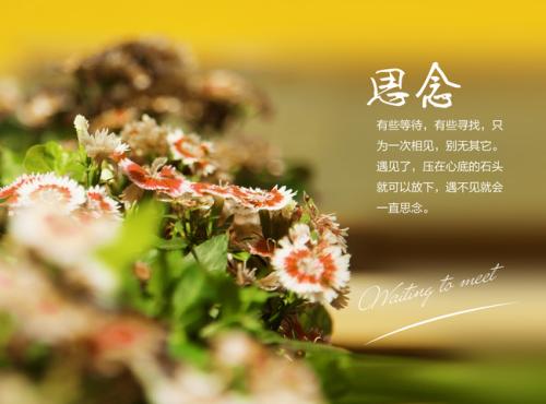 不管心情多么美好