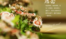 再美的心情思念语录