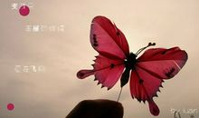 思恋你的夜的伤感句子