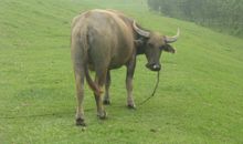 在此时埋头苦干，免到它日仰面求人