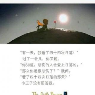 小王子语录