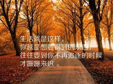 关于爱好的句子