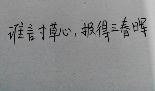 赞美母爱的诗句