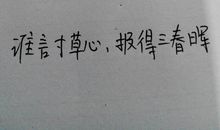 赞美伟大母爱的诗句