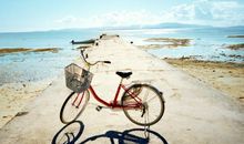 心情的抒情句子