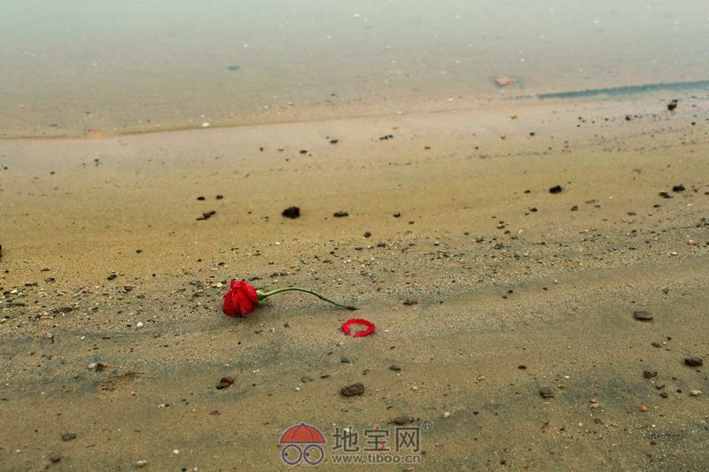 爱情句子中的失望和绝望