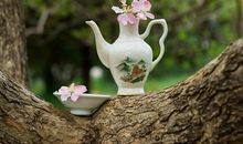 形容茶花的优美诗句