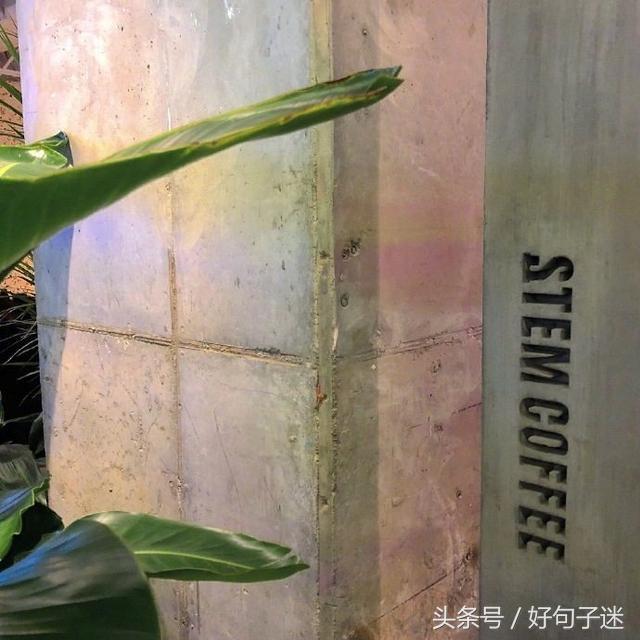 15.我不知道是谁说的：〜记忆是一座桥梁，但它们却是孤独的监狱。这是我听过的最可悲的一句话。每当我想起过去，在午夜梦回时，我总是想回到生活中。幸福的岁月〜永远不会再出现经验，幸福，悲伤，孤独，事物，情绪，感情，眼泪。今晚，我不知道谁又被困了。
