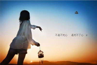 与图片交谈23