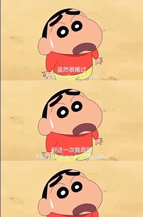 小欣语录