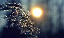 夏天养生问候短信