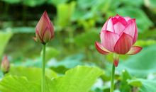 佛法的意义在于生活中的慈悲和智慧